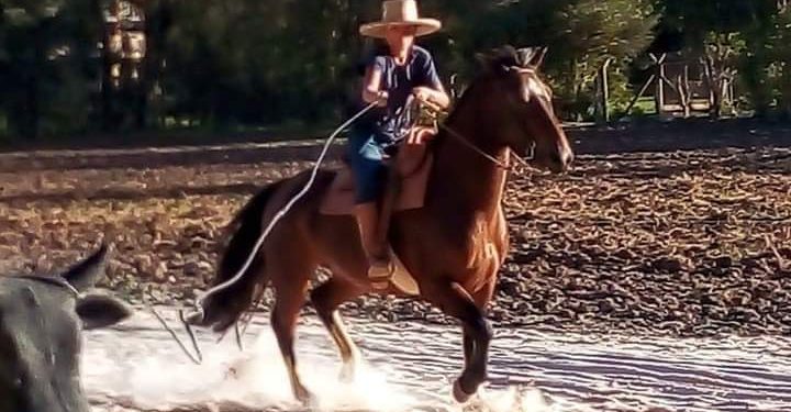 Campo Magro | Jovem de 16 anos cai do cavalo e morre