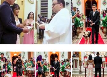 CASAMENTO | Cachorro entra na Igreja com aliança e padre critica a situação