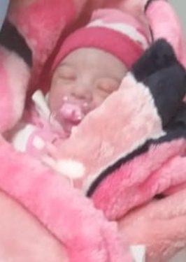 Rio Branco do Sul | Casal vai passear em chácara e filha nasce dentro de carr