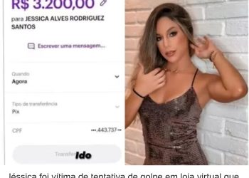Brasil | Mulher escapa de golpe do falso pix e ‘comprovante’ vira meme