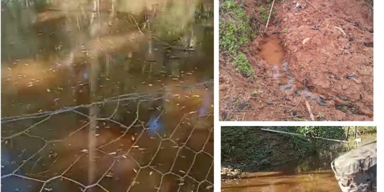 Moradora de Cerro Azul na bronca com a prefeitura! Entupiu a manilha e água “podre” deixa um cheiro insuportável