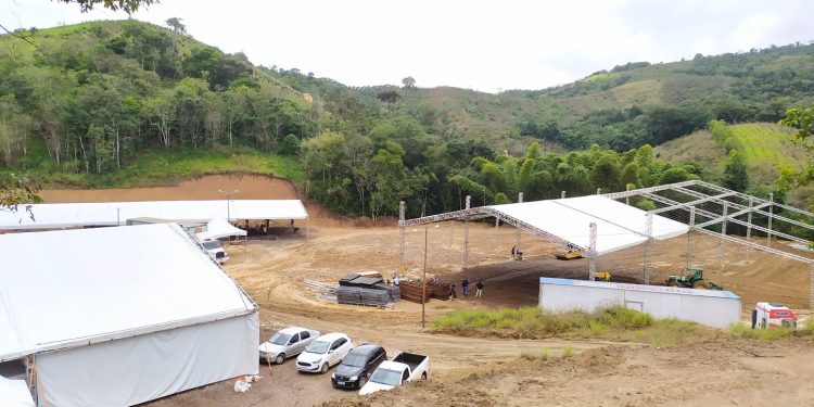 Cerro Azul | É hoje! Festa Nacional da Ponkan promete