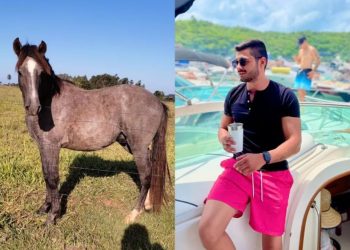 Bêbado, jovem compra cavalo em leilão e só descobre no outro dia: ‘Não sei cuidar do cachorro, imagina de cavalo’