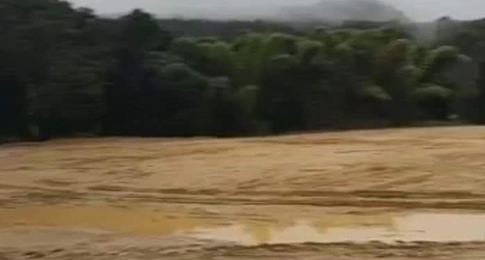 Cerro Azul | Chuvas prevista para essa semana pode trazer transtornos aos organizadores da Festa da Ponkan