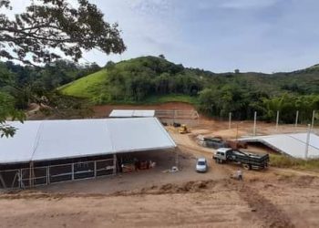 Cerro Azul | Divulgado a programação da Festa da Ponkan