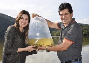 Eloir Bueno juntos e amigos soltam 10 mil peixes na represa Santa Cruz
