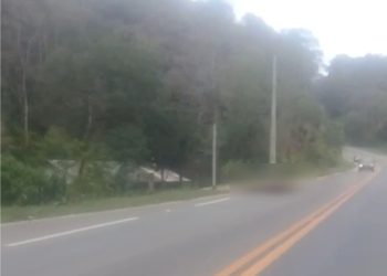 Motorista flagra dois cavalos mortos por atropelamento na Pr 092 (Estrada do Cerro)