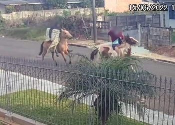 Homens são presos após  realização furtos na região, e fugirem montados em cavalos