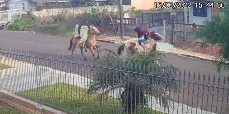 Homens são presos após realização furtos na região, e fugirem montados em cavalos