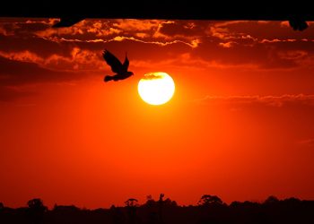 Oi, sumido! Sol deve voltar a aparecer no fim de semana em Curitiba e Região