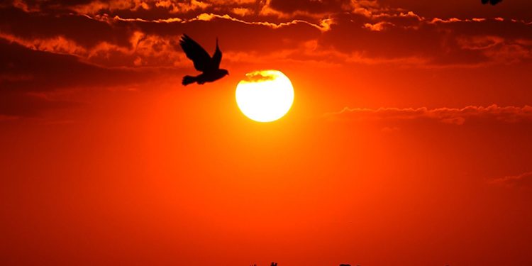 Oi, sumido! Sol deve voltar a aparecer no fim de semana em Curitiba e Região