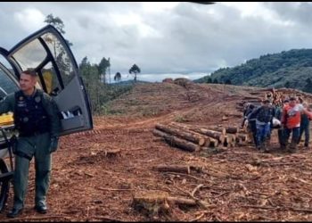 Campo Magro | Rapaz sofre acidente após sofrer queda em trilha