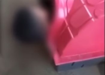 Jovem bêbado erra a residência e dorme dentro da casa de cachorro
