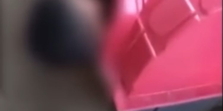 Jovem bêbado erra a residência e dorme dentro da casa de cachorro