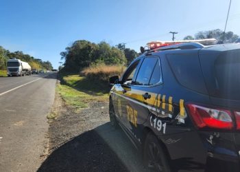 Criança de 9 anos morre atropelada na BR-373