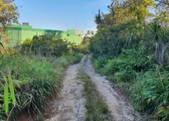 Menino é atingido por tiro após ir com amigo para terreno e pede socorro em supermercado