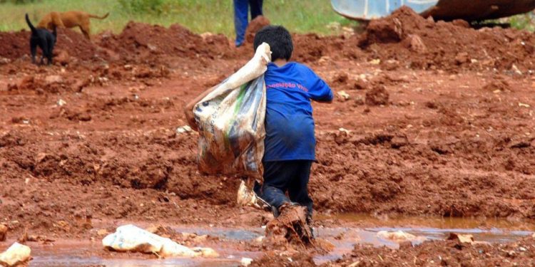 23 milhões de pobres vivem com menos de R$ 7 ao dia no Brasil