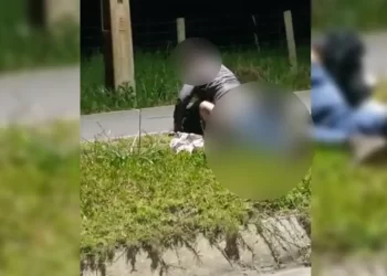 Casal é  flagrado fazendo sexo em canteiro de rua na região de Curitiba