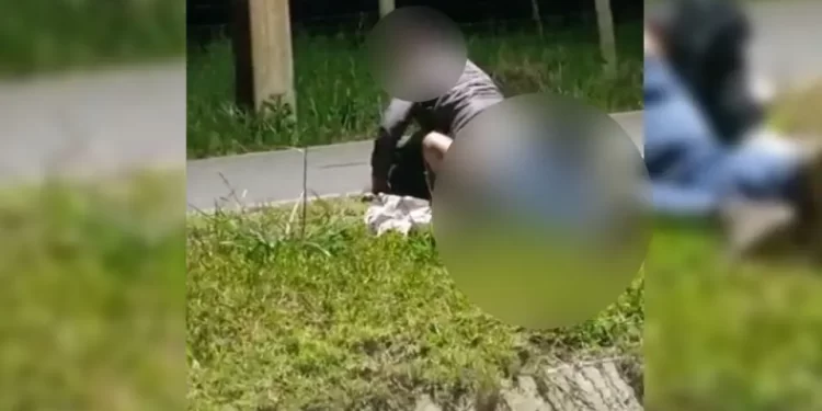 Casal é flagrado fazendo sexo em canteiro de rua na região de Curitiba