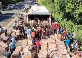 Caminhão tomba e multidão saqueiam carga de frango na BR – 277