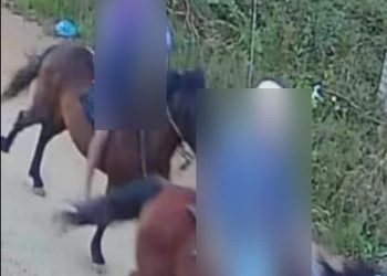 Voltamos no tempo! Dupla usa cavalos para praticar assaltos em Almirante Tamandaré