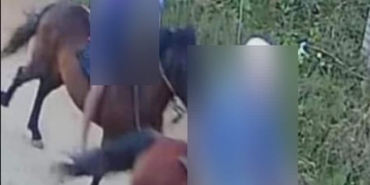 Voltamos no tempo! Dupla usa cavalos para praticar assaltos em Almirante Tamandaré