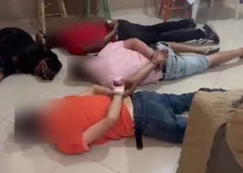 Cachorro “se rende” em abordagem Policial atendendo voz de comando juntos com suspeitos