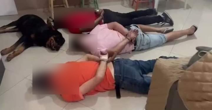 Cachorro “se rende” em abordagem Policial atendendo voz de comando juntos com suspeitos