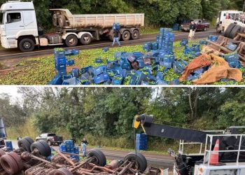 Motorista morre após acidente com caminhão carregado com Pimentão na Br-277