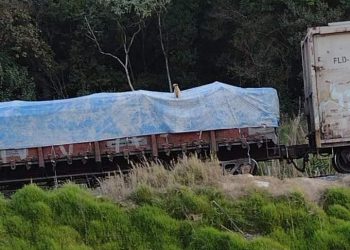 Cãozinho deixado em cima da Trem revolta internautas