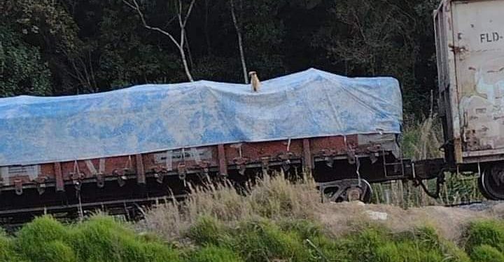 Cãozinho deixado em cima da Trem revolta internautas