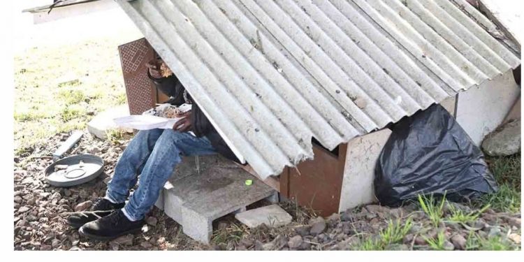 No Barreirinha, em Curitiba, homem transforma casinha de cachorro em sua residência