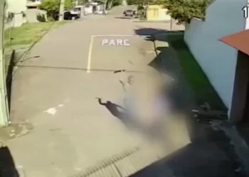 Idoso dá golpes de facão no filho após discussão por herança no Dia dos Pais