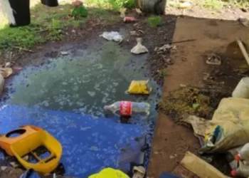 Criança de 3 anos é resgatada de casa cheia de lixo no Paraná