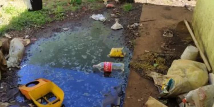 Criança de 3 anos é resgatada de casa cheia de lixo no Paraná