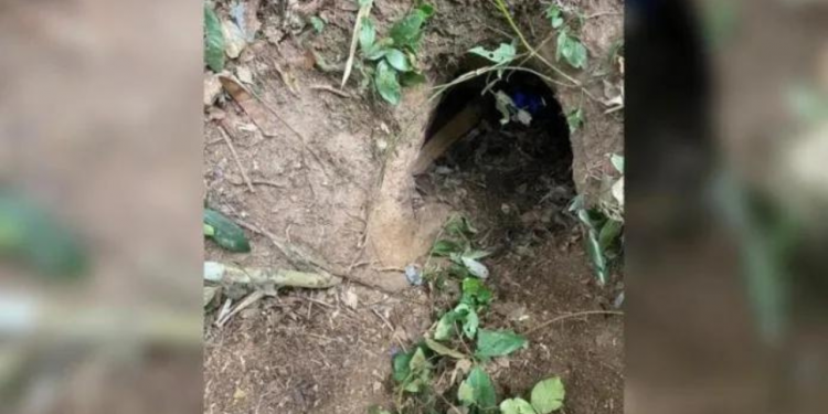 Idoso sai para caçar e fica preso em toca de animal