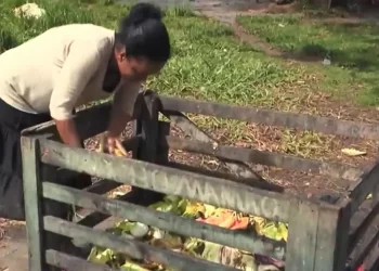Famílias matam a fome com restos de comida do Ceasa; moradores comentam esforço para encontrar alimentos no lixo