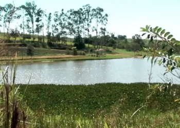 Bebê morre e criança de um ano fica ferida após serem atropeladas por carro no Paraná