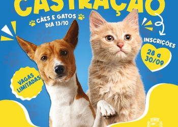A Secretaria Municipal de Meio Ambiente de Rio Branco do Sul está com inscrições abertas para a CASTRAÇÃO GRATUITA DE CÃES E GATOS.