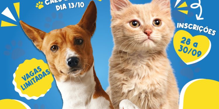 A Secretaria Municipal de Meio Ambiente de Rio Branco do Sul está com inscrições abertas para a CASTRAÇÃO GRATUITA DE CÃES E GATOS.