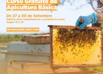 Curso Gratuito de Apicultura Básica