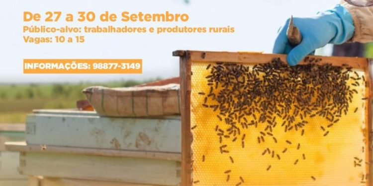 Curso Gratuito de Apicultura Básica