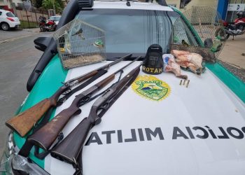 POLÍCIA MILITAR AMBIENTAL REALIZA FISCALIZAÇÃO E PRENDE INDIVÍDUO COM ARMAS DE FOGO EM RIO BRANCO DO SUL