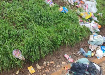 Lixo com entulhos e animais mortos se acumula em de Itaperuçu