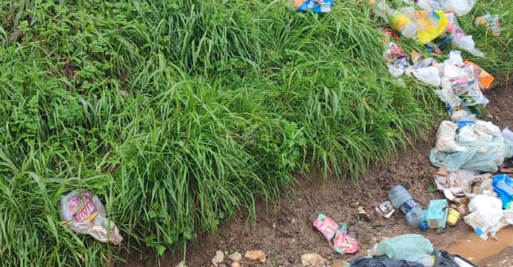 Lixo com entulhos e animais mortos se acumula em de Itaperuçu