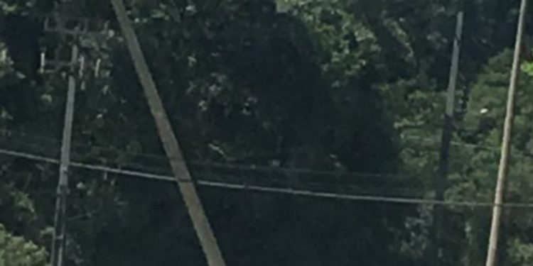 Colisão no centro de Rio Branco do Sul deixa bairros sem luz
