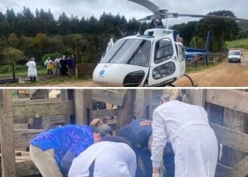 HOMEM FICA EM ESTADO GRAVE APÓS SER ATACADO POR BOI