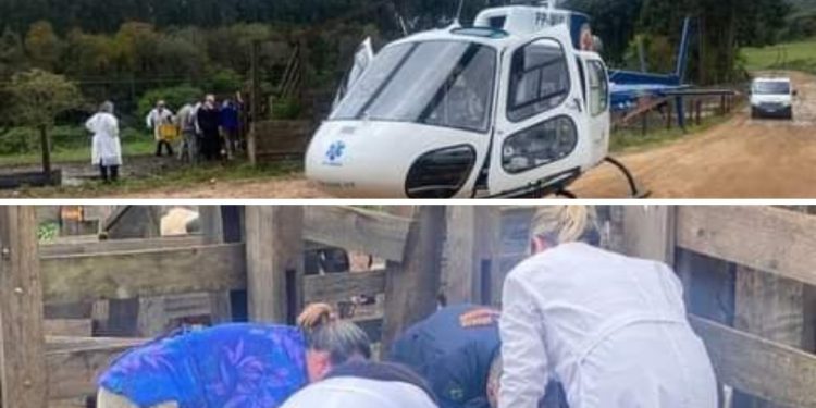 HOMEM FICA EM ESTADO GRAVE APÓS SER ATACADO POR BOI