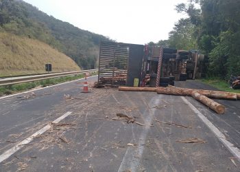 Morre quinta vítima que estava em carro esmagado por toras de madeira na BR-376