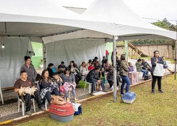 PREFEITURA DE RIO DE BRANCO DO SUL REALIZA MUTIRÃO DE CASTRAÇÃO